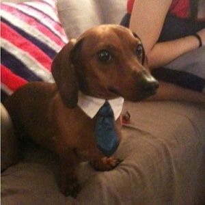 Meet your Posher, Jerold